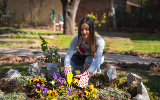 Is your garden summer-ready