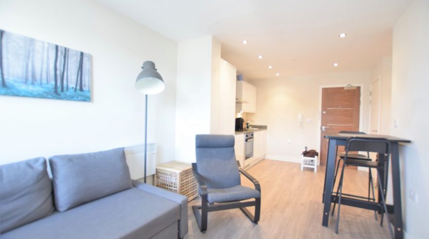 1 Bedroom  To Rent in Perth Road, Ilford, IG2 