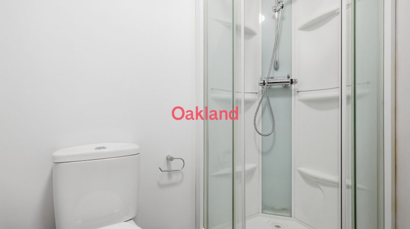 4 Bedroom Semi-Detached House To Rent in 85a Netley Road, Ilford, IG2 