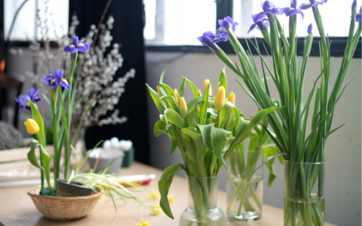 spring season flowers